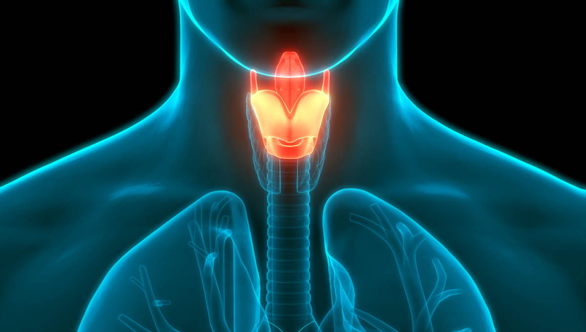 آوا سازان مهر